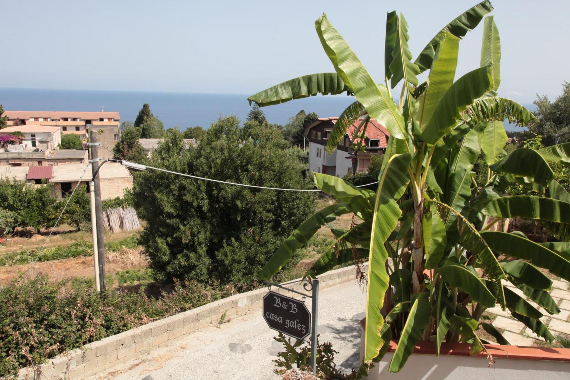 Bed And Breakfast Casagalez Santa Domenica  Eksteriør billede