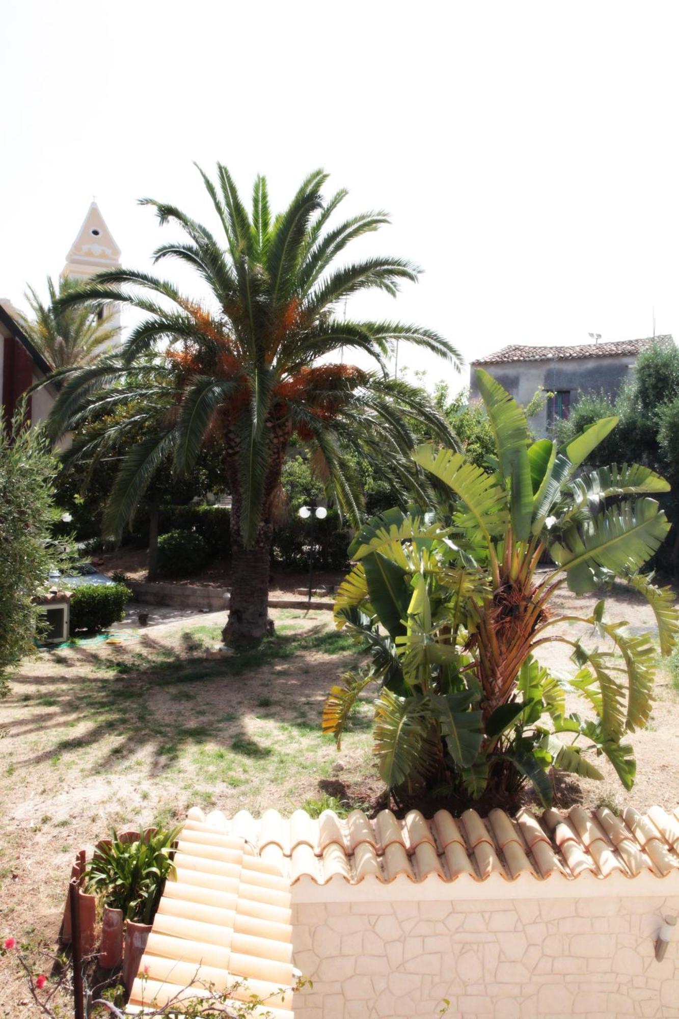 Bed And Breakfast Casagalez Santa Domenica  Eksteriør billede